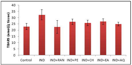 Effect of indomethacin on the level of gastric mucosal lipid peroxide 