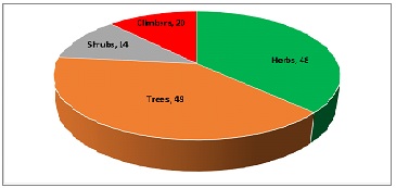 Fig: Analysis of Unani Medicinal Plants life forms with respect to no. of species in the study.